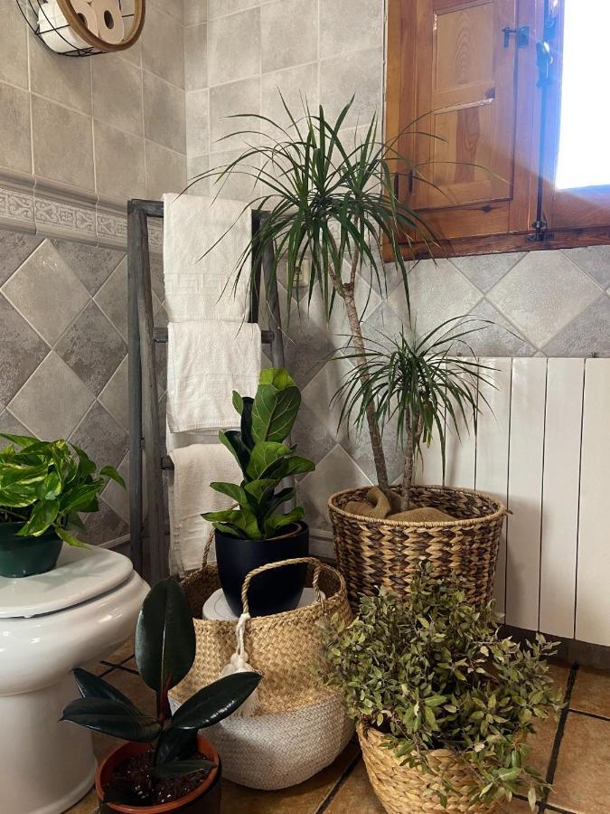 Esse Natura Alojamientos & Lifestyle Pozohondo Exteriér fotografie